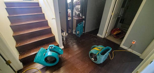 Best Water damage restoration near me  in Stuttgt, AR