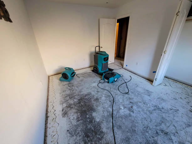 Best Carpet water damage restoration  in Stuttgt, AR