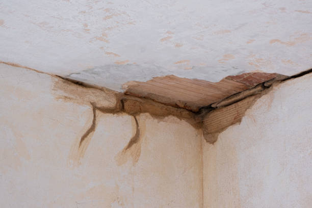 Best 24-hour water damage restoration  in Stuttgt, AR