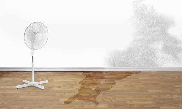 Best Residential water damage restoration  in Stuttgt, AR