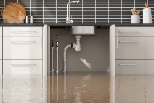 Best Sewage cleanup and water damage restoration  in Stuttgt, AR