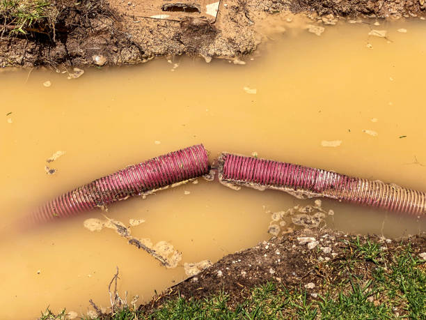 Best Commercial water damage restoration  in Stuttgt, AR