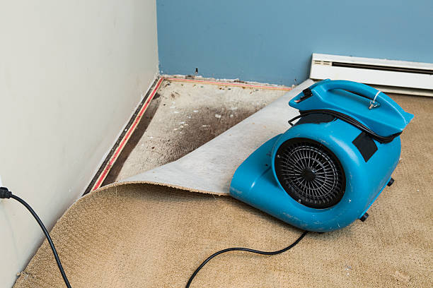 Best Water damage cleanup near me  in Stuttgt, AR